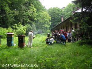 Medobraní u Perníkové chaloupky 2006