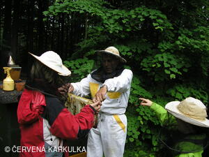 Medobraní u Perníkové chaloupky 2006