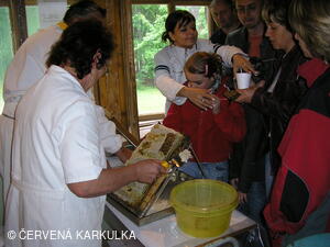 Medobraní u Perníkové chaloupky 2006