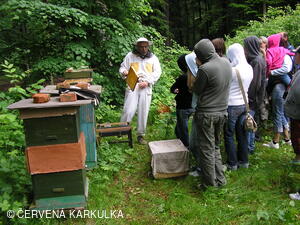 Medobraní u Perníkové chaloupky 2007