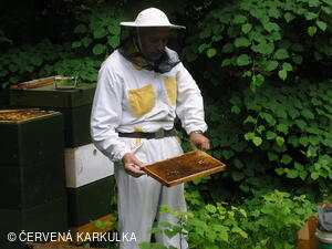 Medobraní u Perníkové chaloupky 2007