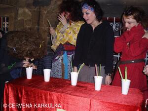 Slet čarodějnic u Perníkové chaloupky 2008