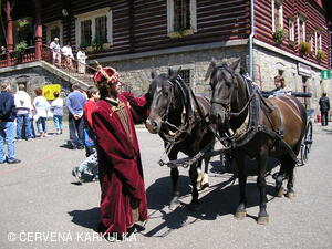 Setkání Jeníčků a Mařenek 2005 - král Jan Lucemburský