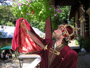 Setkání Jeníčků a Mařenek 2005 - král Jan Lucemburský