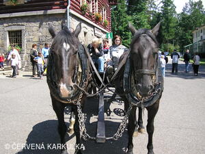 Setkání Jeníčků a Mařenek 2005