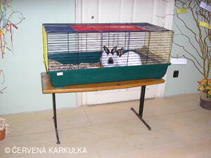 Velikonoce v Perníkové chaloupce 2005