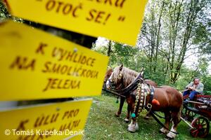 Sousedské slavnosti 2008