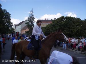 Vodní království