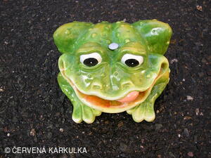 Perníkiáda s VŘSR 2006