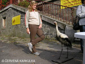 Perníkiáda s VŘSR 2006