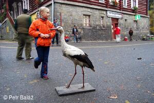 Perníkiáda s VŘSR 2007