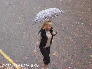 Perníkiáda s VŘSR 2008