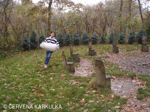 Perníkiáda s VŘSR 2008