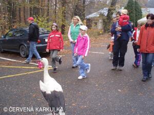 Perníkiáda s VŘSR 2008
