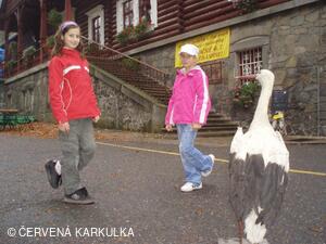 Perníkiáda s VŘSR 2008
