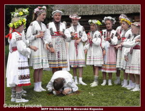 Mezinárodní folklorní festival Strážnice