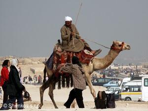 CK Shenkos, Egypt, Giza