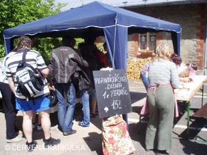 Sousedské slavnosti 2009 - perníkářská dílna