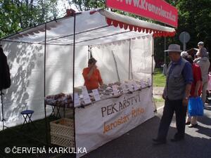 Sousedské slavnosti 2009
