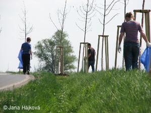 DEN ZEMĚ