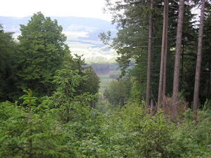 KČT odbor 113407 HODSLAVICE
