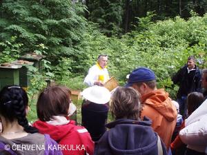 Medobraní u Perníkové chaloupky 2009