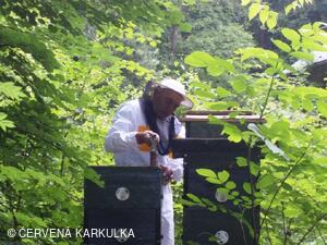 Včelař Josef Vlach při Medobraní u Perníkové chaloupky 2009