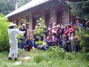 Včelař Josef Vlach při Medobraní u Perníkové chaloupky 2009