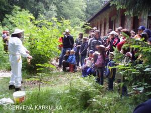 Včelař Josef Vlach při Medobraní u Perníkové chaloupky 2009
