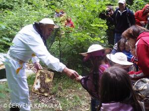 Včelař Josef Vlach při Medobraní u Perníkové chaloupky 2009