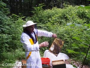 Včelař Josef Vlach při Medobraní u Perníkové chaloupky 2009