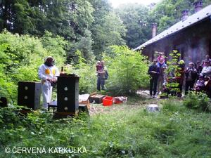 Medobraní s dětským dnem 2009