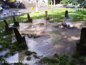 Medobraní s dětským dnem 2009 - v dešti