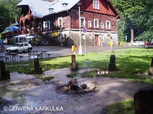 Medobraní s dětským dnem 2009 - v dešti