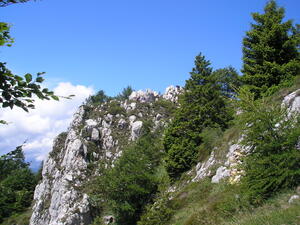 Dolomity