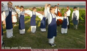 Polešovice