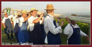 Polešovice