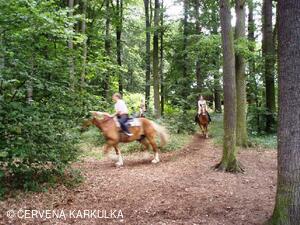 Setkání Jeníčků a Mařenek 2009