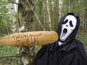 Společnost pro podporu lidí s mentálním postižením v ČR,o.s.