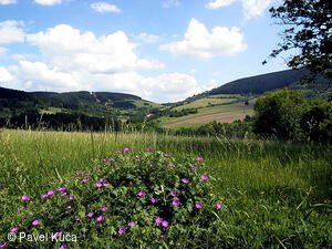 Bílé Karpaty, Lopeník, Lopenické sedlo