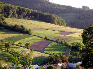 Bílé Karpaty, Nedašov, krajina