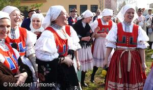 Mikroregion HORŇÁCKO