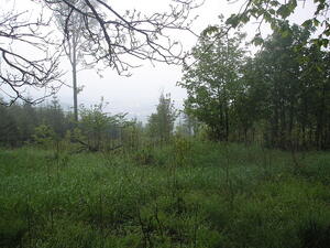Hodslavice
