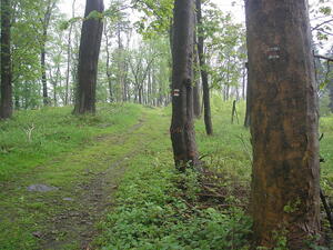 Hodslavice