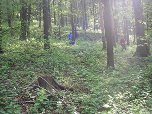Hodslavice