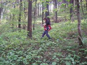 Hodslavice