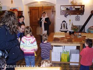 Ukládání Ježibaby mladé (tzn. bez vousů) k zimnímu spánku 31.12.2009