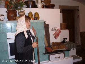 Ukládání Ježibaby mladé (tzn. bez vousů) k zimnímu spánku 31.12.2009