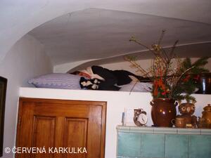Ukládání Ježibaby mladé (tzn. bez vousů) k zimnímu spánku 31.12.2009