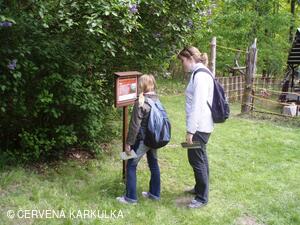 Sousedské slavnosti 2010
